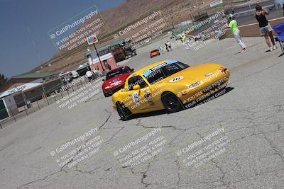 media/May-31-2025-CalClub SCCA (Sat) [[2c1a04e1ee]]/Around the Pits/